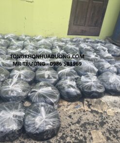 Bán lẻ nhựa đường tại Hà Nội